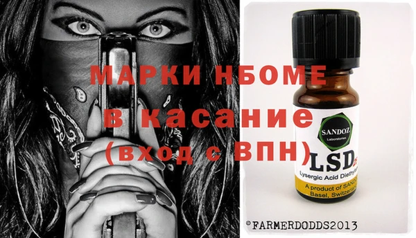 индика Волосово
